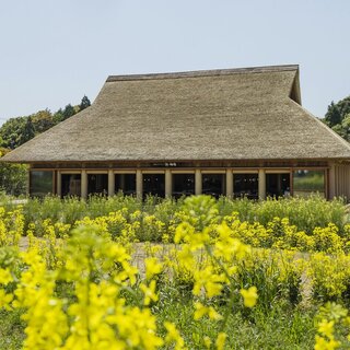 由Shigeru Sakamu先生建造的与自然融合在一起的可持续建筑