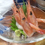 松葉茶屋 - 甘エビ３兄弟
