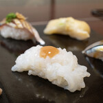 Janome Zushi - 