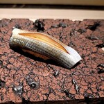 島津 - こはだ（天草）