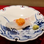 島津 - 鯛（腹）にコノコ