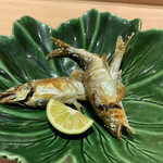 新日本料理おぶね - 