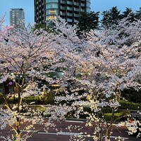アルティザン ドゥ ラ トリュフ パリ - 