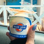 BLUE SEAL - シークワーサー