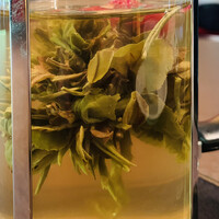 中国料理 四川 - お茶