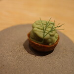 マンサルヴァ - 