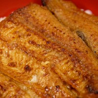 つきじ宮川本廛 - 鰻丼