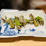 日本橋 蕎ノ字 - ◎山野草のクルミの新芽は山形のマタギさんが山から採ってきたもの。