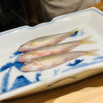 日本橋 蕎ノ字 - ◎千葉県君津市久留里のは名水で養殖されたホンモロコは美しい。