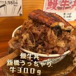 Shimbashi Ucchari - 