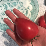 小林園芸 - 料理写真:チョコトマト〜ちょっとハート型♬ byまみこまみこ