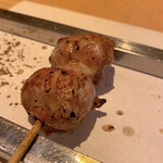 YAKITORI　田崎 - ソリレス