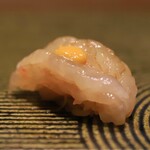 Namba Sushi Matsumoto - 