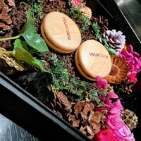 VELROSIER - 