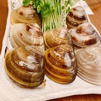桑名蛤料理・蛤しゃぶしゃぶ 貝新 - しゃぶしゃぶ用の天然蛤、デカい！