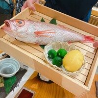 のどぐろ専門 銀座 中俣 - 