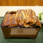 Unagi Kazutomo - 