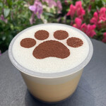 パステルイタリアーナ - 