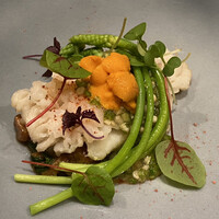 Selvaggio - 