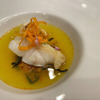Ristorante IL PRINCIPE - ⚫︎旬魚のパデッラータ
                    本日の旬魚は、高級魚クエでした！
                    特別なお魚！2週間熟成されてて、ぷるっぷるの身でした！
                    真鯛の白子、春人参のフリットやにんにくの芽、和歌山の加太ひじきなどが添えられてます。