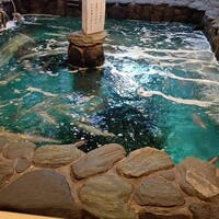 河太郎 中洲本店 - 