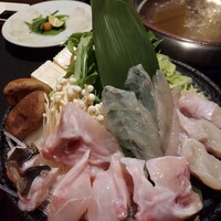 個室ふぐかに料理 磯笛 - 