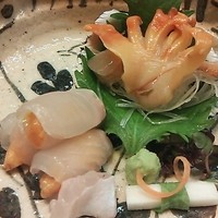せき根 - 赤貝、平目のお造り