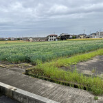 釜あげうどん 長田 in 香の香 - ロケーション素晴らしい