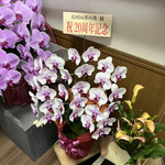 釜あげうどん 長田 in 香の香 - 20周年おめでとうございます。もっと前からあるのかと思いました。