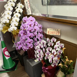 釜あげうどん 長田 in 香の香 - 