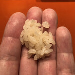 初音鮨 - 出来立ての酢飯　角があり立ってます　美味い