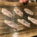 初音鮨 - のど黒の群れ