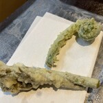 圭蔵 - たらの芽とこごみ