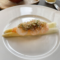 BLT STEAK GINZA - 本日の前菜（ホワイトアスパラと海老のラビゴットソース）