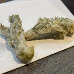 圭蔵 - たらの芽