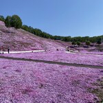 ひがしもこと芝桜公園売店 - 