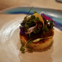 セルサルサーレ - 