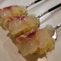 セルサルサーレ - 