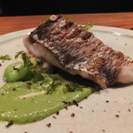 カモシヤ クスモト - 桜鯛の焼物