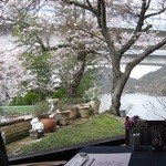 Kinsenjikohansandaya - 桜が咲く季節の金仙寺湖は必見