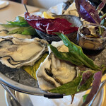 SEAFOOD HOUSE PIER54 - 