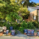 菓子工房 noko-noki - 