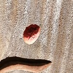 串かつ あーぼん - 