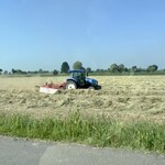 Ristorante Taverna San Martino - 隣の畑では、トラクターを使って掻き混ぜ、天日干しをしていた