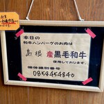 Hamburger Steak Senmon Ten IZUTSUYA