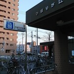 ワイン食堂 Yama - 