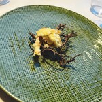 モリエール モンターニュ - 