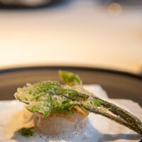 レストラン オオツ - 2022.5 陸奥湾豊島さんの養殖帆立貝ナッツソース 山形産コシアブラと蕗の薹