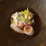 GEJO - 水蛸と桜鯛