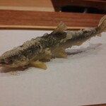 天婦羅 みやしろ - 